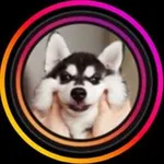 Аватар канала 🐶 MIMI.COMEDY 🐱