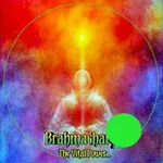 Аватар канала Brahmacharya ™ (ब्रह्मचर्य) Celibacy