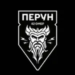 Аватар канала ББС ⚡️ Перун ⚡️ 42 ОМБР
