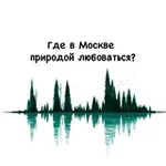 Аватар канала Где в Москве природой любоваться?