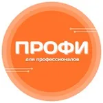 Аватар канала «Профи» деловое сообщество