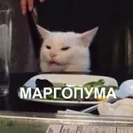 Аватар канала margopuma