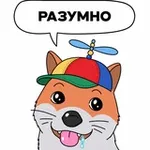 Аватар канала Лисач 🦊 🌴