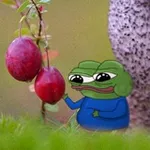 Аватар канала Apusthetics 🐸
