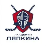Аватар канала Академия Хоккея им. Ю.Е. Ляпкина 🏒