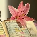 Аватар канала ـ ذاتُ أثَــــــــر︙ 💗