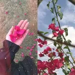 Аватар канала ٣١ | يُولِيـو .