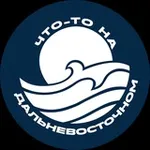 Аватар канала Что-то на дальневосточном
