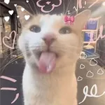 Аватар канала –ᴨᴄихиᴀᴛᴩия ᴀᴋиᴩы ݁₊ ⊹.