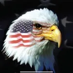 Аватар канала Delaware Patriots United