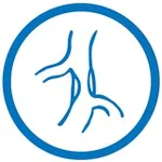 Аватар канала Рентгенхирурги / Конференции, новости, литература