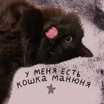 Аватар канала у меня есть кошка манюня