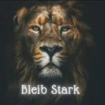 Аватар канала Bleib Stark 🤜 🤛