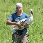 Аватар канала Антон Сасин 🐦 Птицы Амура 🐦