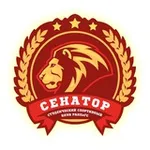 Аватар канала СЕНАТОР | Президентская академия