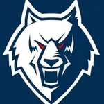 Аватар канала Юный Фанат ХК ,,Нефтехимик" 🐺