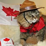 Аватар канала Emily’s life in Canada 🇨🇦