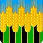 Аватар канала Новодмитриевская администрация