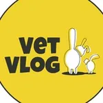 Аватар канала VetVlog(ВетВлог) Ветеринарная ОНКОЛОГИЯ и не только 👨🏻‍⚕️