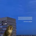 Аватар канала несмешные шутки.