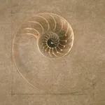 Аватар канала ㅤ𑌇 lushalic's.