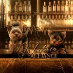 Аватар канала Wisteria Alliance