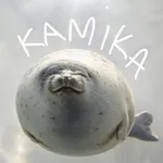 Аватар канала камика таймаут