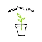 Аватар канала Plnt.ru товары от @karina_plnt