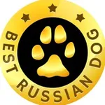 Аватар канала BEST RUSSIAN DOG ЛУЧШИЕ СОБАКИ РОССИИ