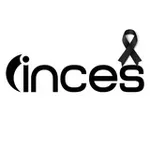 Аватар канала Inces