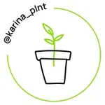 Аватар канала karina_plnt