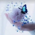 Аватар канала ترانيم من القلب 🕊 🕊