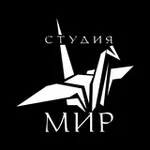 Аватар канала Творческая студия МИР