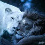 Аватар канала ❥ 🌸 🦋 ترانيم الامل 🌸 ❥ 🦋