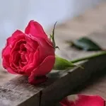Аватар канала لعل قلبي يرق 🖤
