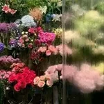 Аватар канала منشورات كرائحة الورد المتنوعه 🌸