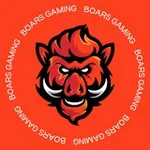 Аватар канала BOARS GAMING