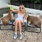 Аватар канала Аркадская идиллия