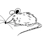 Аватар канала Ratte