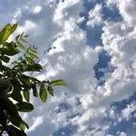 Аватар канала ستُجبَر 🦋 .