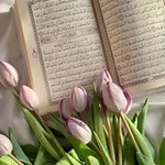 Аватар канала متشابهات القرآن