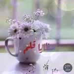 Аватар канала شظايا قلــ ✒ ـــم