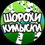 Аватар канала Шорохи Кумыски