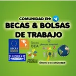 Аватар канала 🎓 𝗕𝗲𝗰𝗮𝘀 & 𝗕𝗼𝗹𝘀𝗮𝘀 𝗱𝗲 𝗧𝗿𝗮𝗯𝗮𝗷𝗼 🌎 👨🏻‍🏫