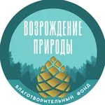 Аватар канала Благотворительный Фонд «Возрождение Природы»