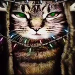 Аватар канала Соси хуй Совок 🏳️‍🌈