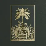 Аватар канала Пальма в северном саду 🌴