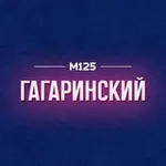 Аватар канала Гагаринский район Москвы М125