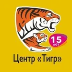 Аватар канала Центр «Тигр»