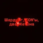 Аватар канала <\> Шардинг, TON'ы, два Жетона </>.